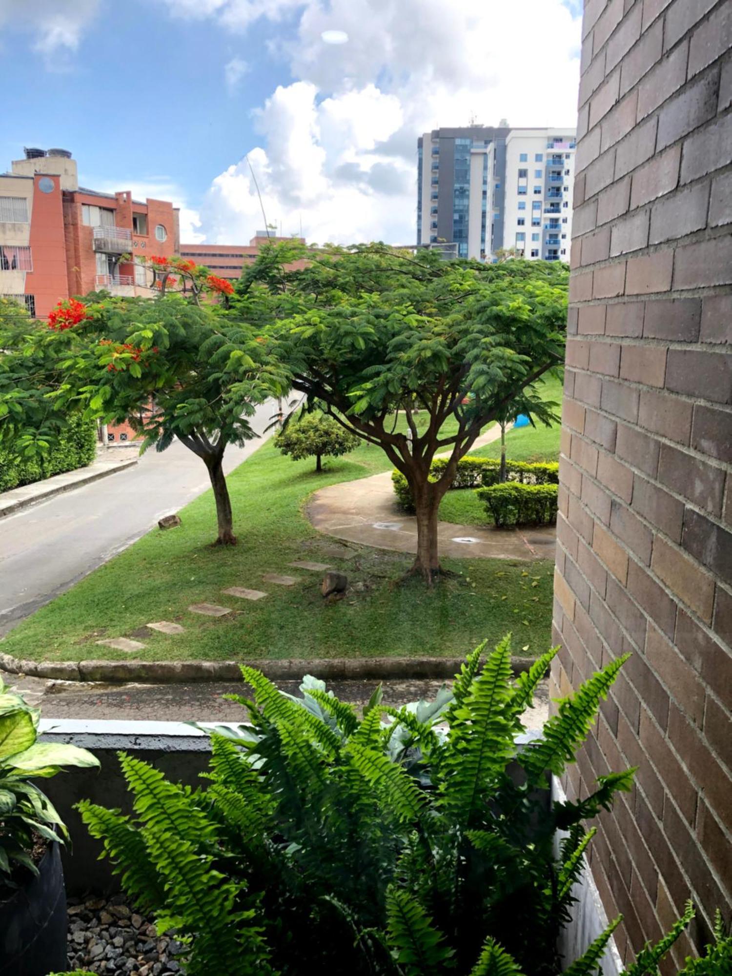 City Star Ibagué Exteriör bild